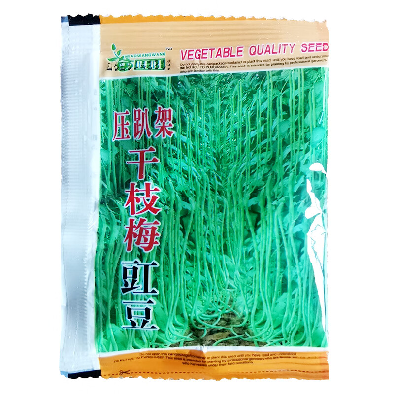 压趴架干枝梅缸豆种子特长中早熟豇豆角菜籽蔬菜种孑南方四季 压趴架