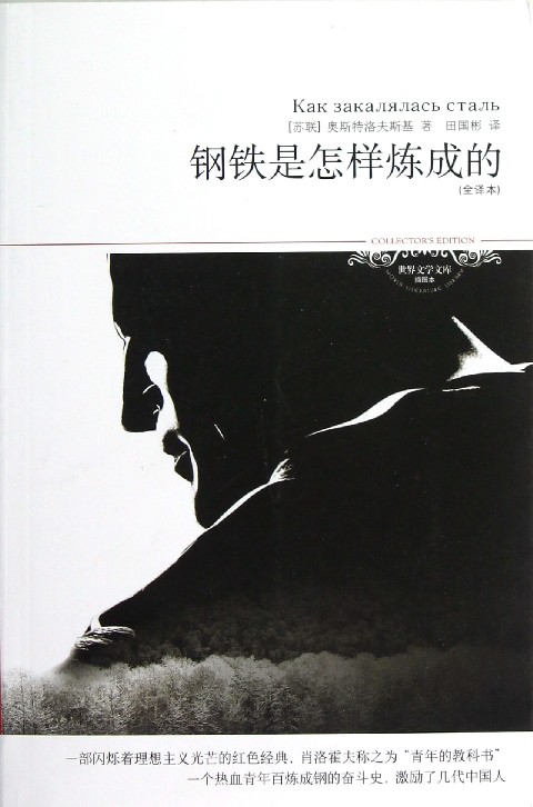 钢铁是怎样炼成的(全译本插图本)/世界文学文库