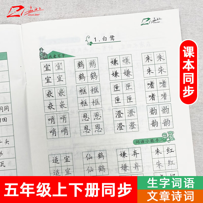 赵汝飞练字 部编版小学语文五年级上下册同步硬笔梯形格楷书字帖