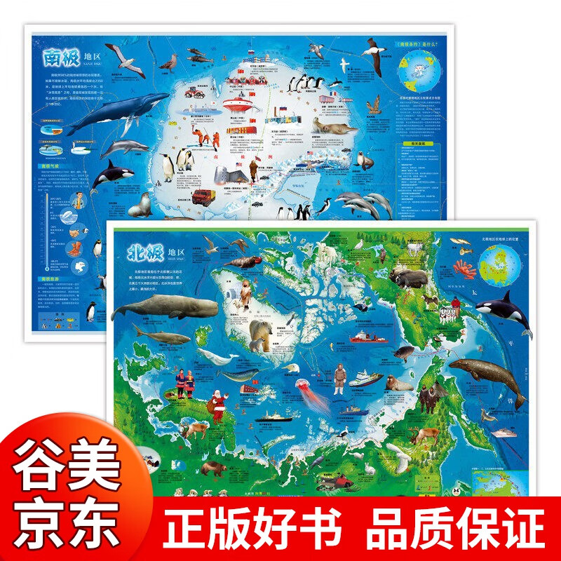 全套10册中国地图和世界地图挂图2023儿童版学生专用中国地形图 挂图中华民族地图+太阳系地图+北极地图+南极地图+海洋地图+史前地图大尺寸高清墙贴书籍畅销书 南极地区+北极地区【2张】 默认1