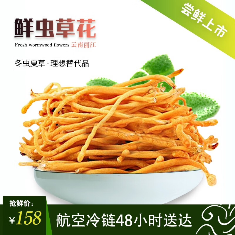 【高原云品】新鲜虫草花 蛹虫草云南丽江【冬虫夏草理想替代品】鲜菌