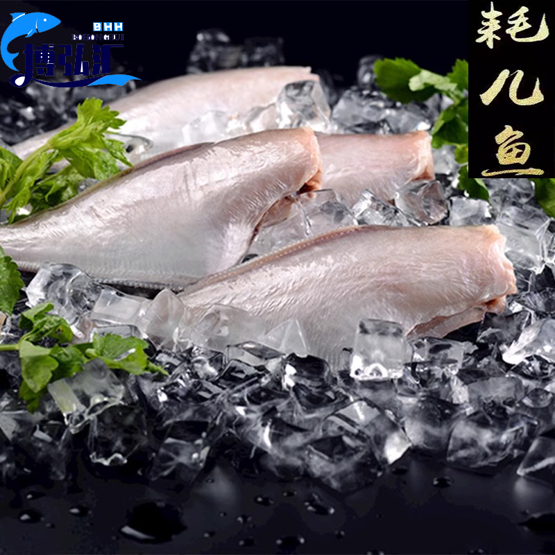 裕琳珑 耗儿鱼 新鲜冷冻三去小耗儿鱼马面鱼玻璃鱼无头鱼扒皮鱼海鲜水产 三去耗儿鱼 大分量10斤 中号 5-6条/斤