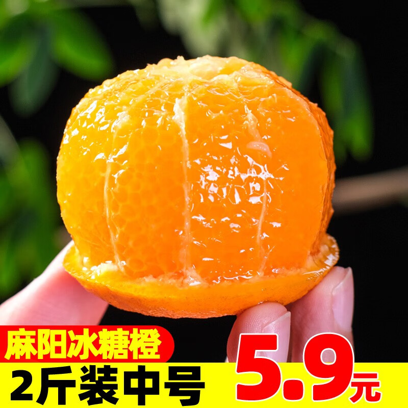 果果牛湖南麻阳冰糖橙 新鲜高山手剥甜橙子脐当季多汁水果 可选 2斤装中号（净果约1.7斤）