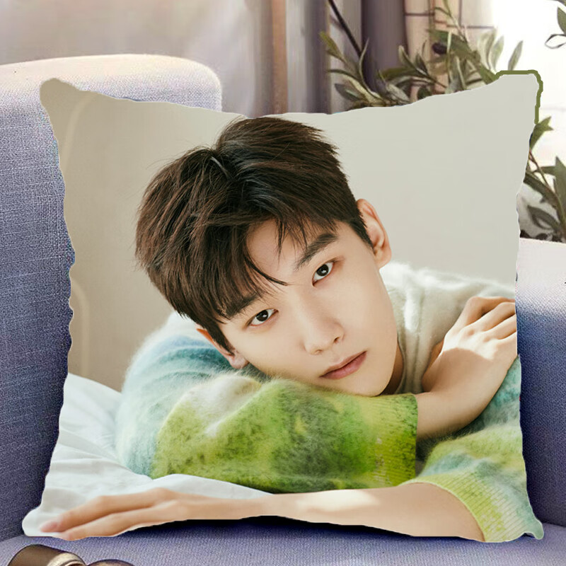 邢昭林双面抱枕周边diy定制pp棉枕头明星靠枕垫送人创意礼物 1 亮缎35