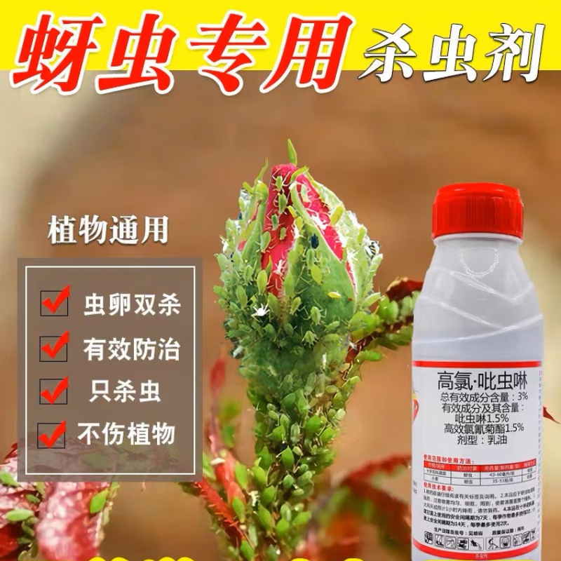 吡虫啉花药杀虫剂蚜虫专用药花卉植物呲虫啉农药玫瑰月季花杀虫药 60g