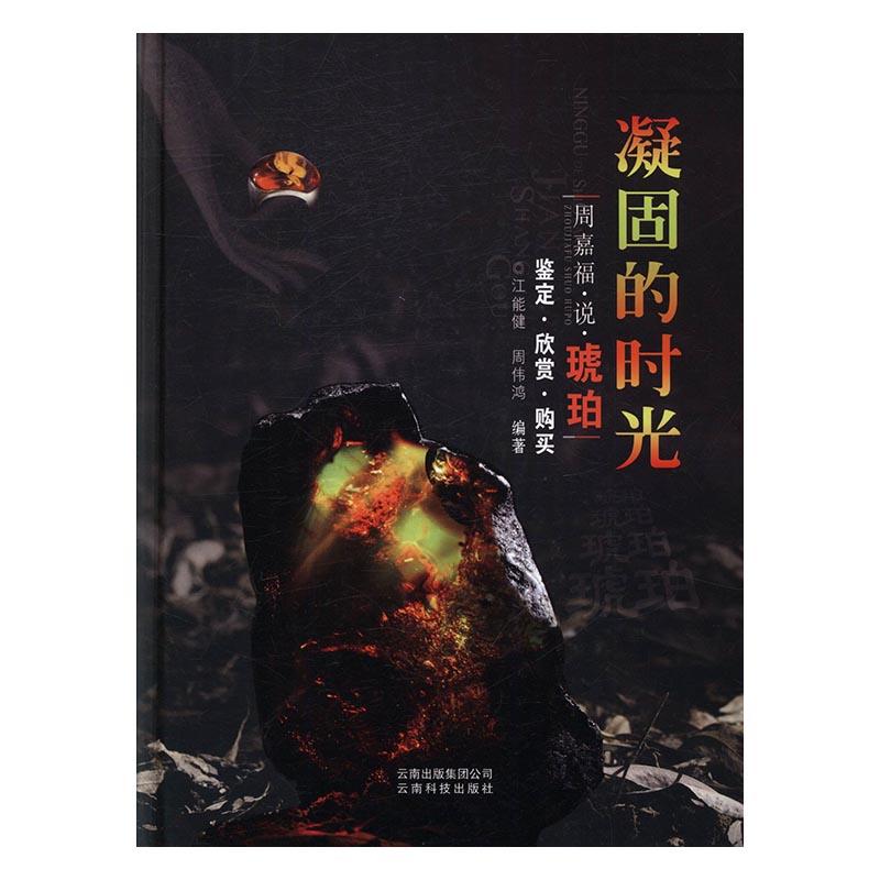 凝固的时光:周嘉福说琥珀 小说 江能健,周伟鸿编著 云南科技出版社
