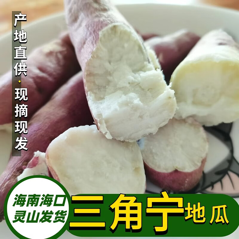 教蔬鲜生正宗海南三角宁地瓜沙地白心番薯干面甜板栗红薯现挖新鲜 小
