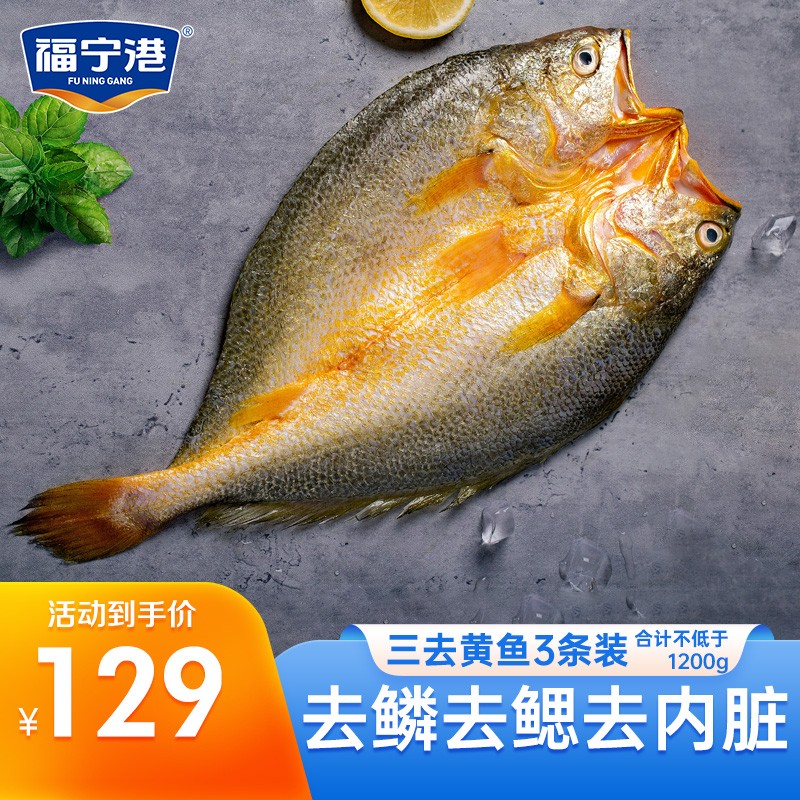 福宁港（FUNINGGANG）鱼类