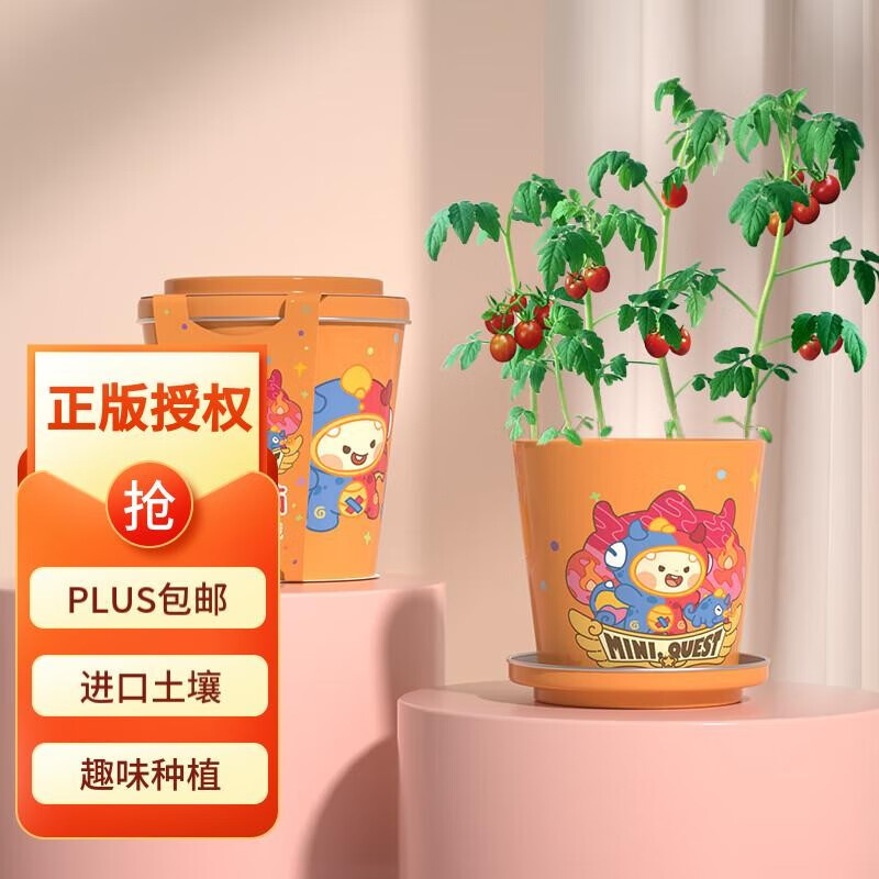 匠心绽放小番茄迷你盆栽 儿童DIY趣味种植观察植物角男孩女孩玩具生日礼物 MINI小彩罐 小番茄高性价比高么？