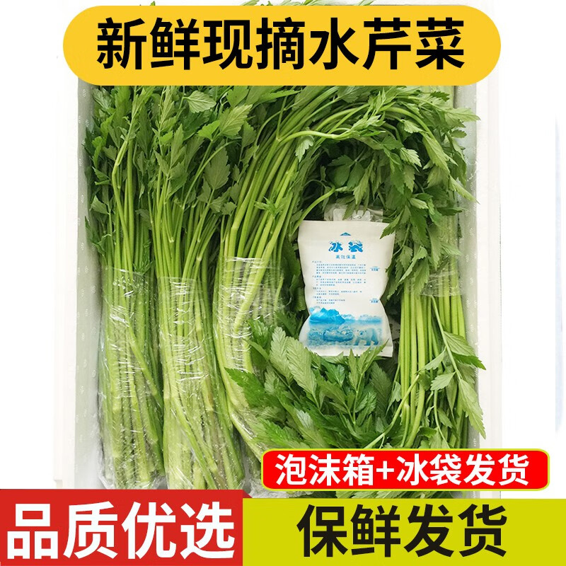 良知农哥当季新鲜水芹菜 河芹 2斤