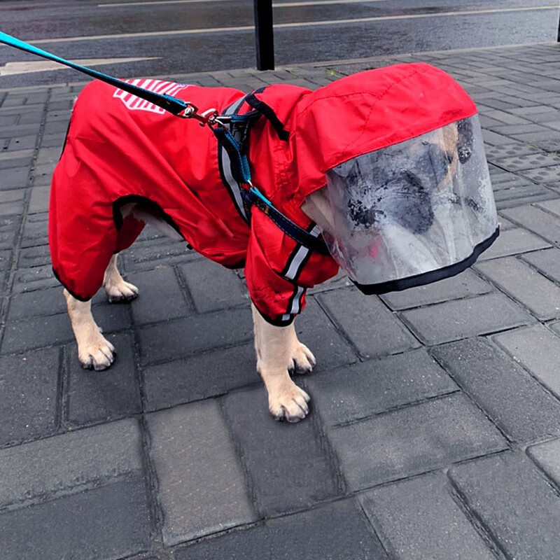共度(gong du)狗狗雨衣服雨伞 猫狗外出用品 宠物雨衣 泰迪比熊小猫