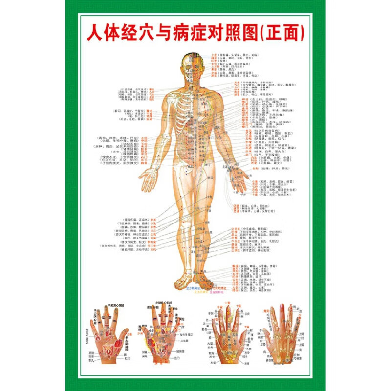 中医养生人体经络穴位图大挂图全身高清穴位推拿按摩针灸海报 001