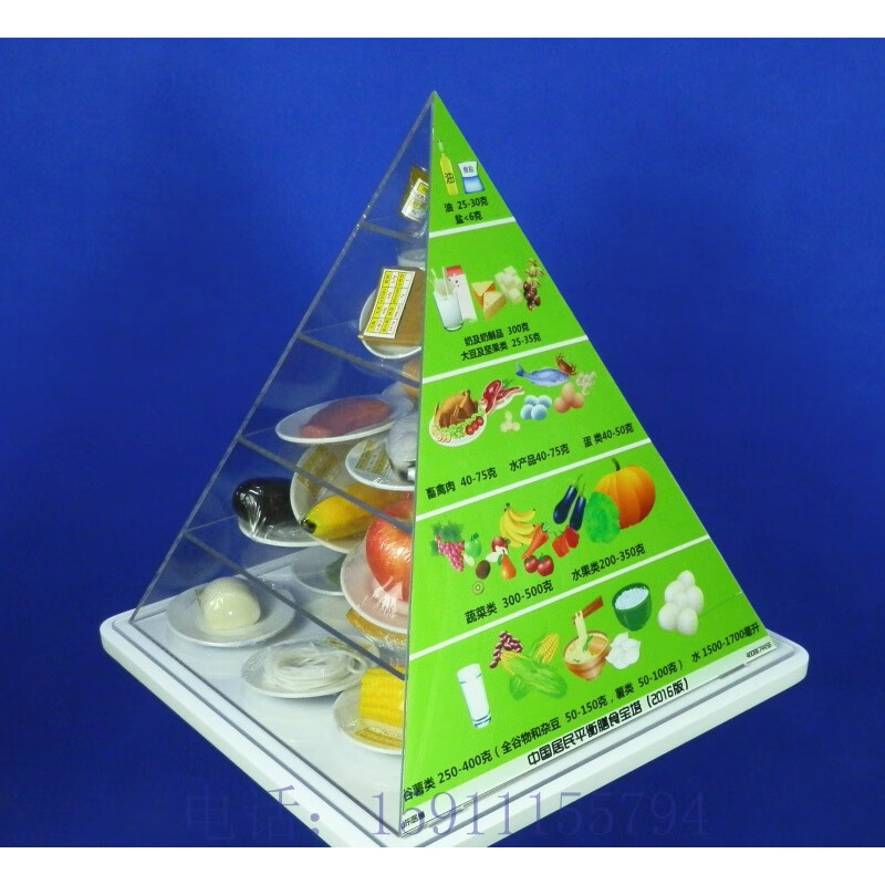 中国居民膳食平衡宝塔膳食金字塔营养食物模型 中国居民膳食宝塔模型