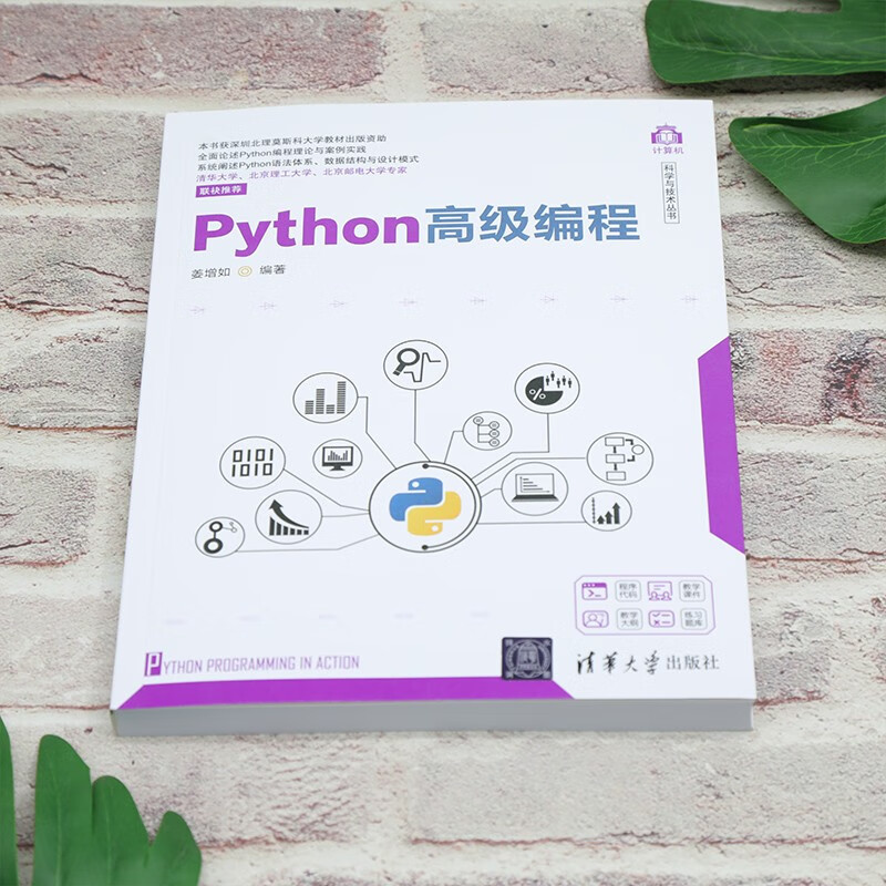 Python高级编程（计算机科学与技术丛书）详情图