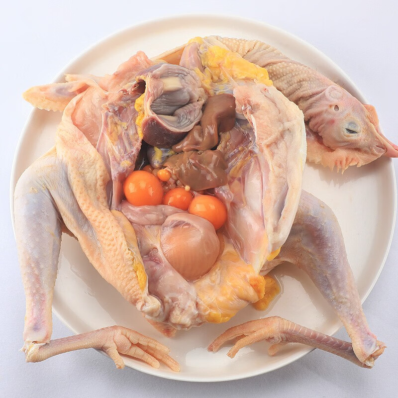 母鸡3斤林下散养2年皖南三黄鸡走地鸡生鲜土鸡