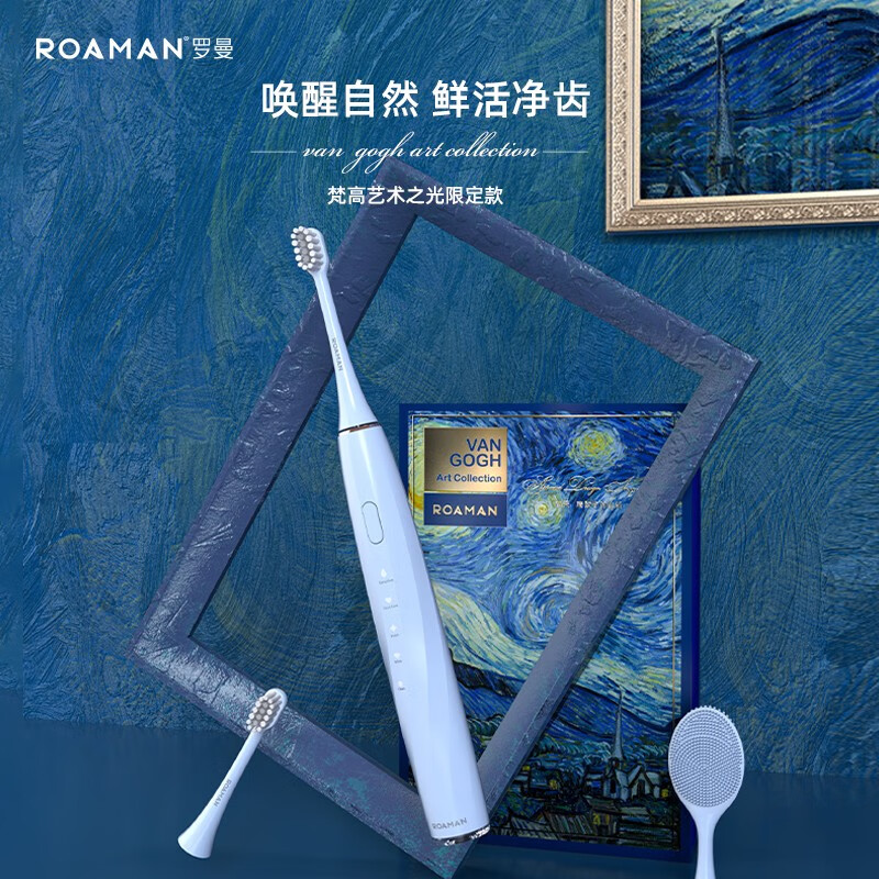 罗曼(roaman) 电动牙刷成人情侣声波电动牙刷男士女士d30 e20