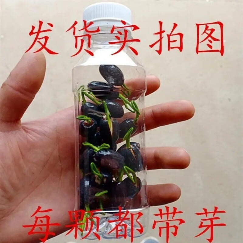 水草用品价格行情走势图|水草用品价格比较