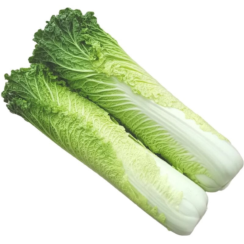 【精选】云南青麻叶白菜蔬菜新鲜高山大白菜核桃纹白菜麻叶青口白