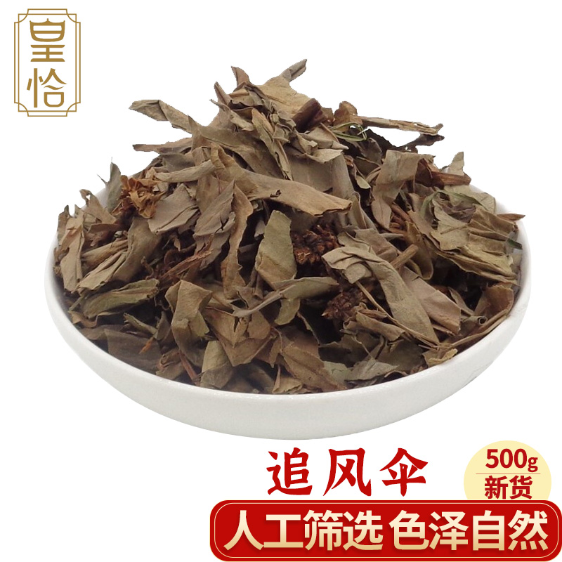 皇恰追风伞 惊风伞 一把伞 公接骨丹 破凉伞 背花草 灯台单 四块瓦中