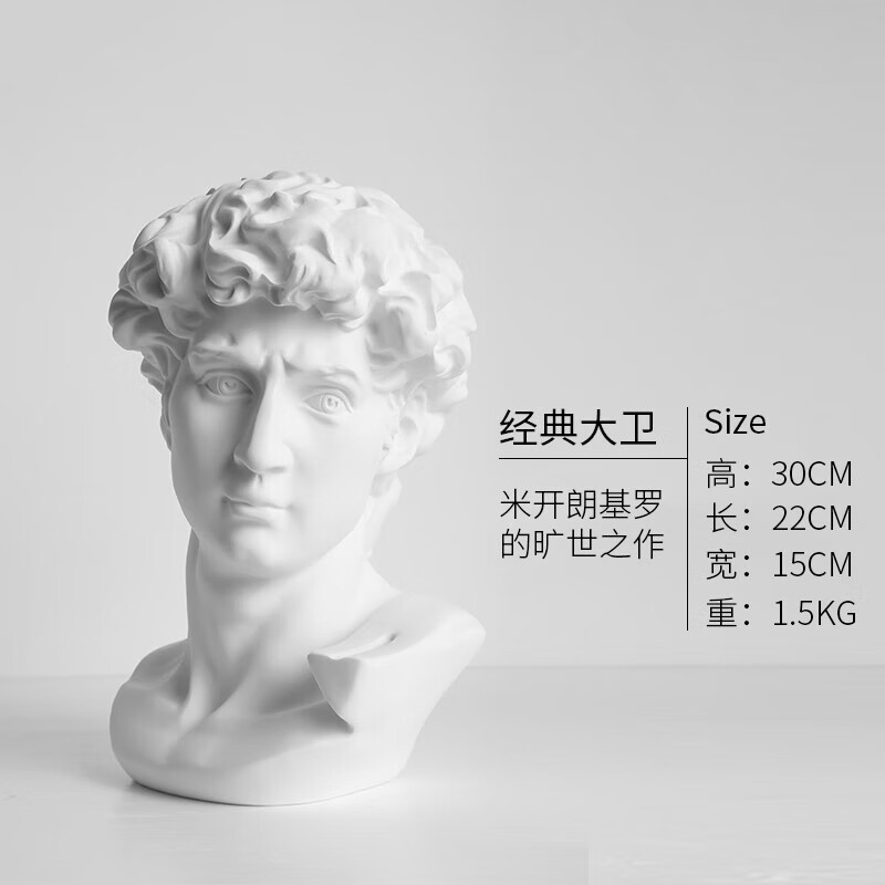 北欧人物雕塑摆件大卫石膏像树脂艺术头像美术画画使用 经典大卫