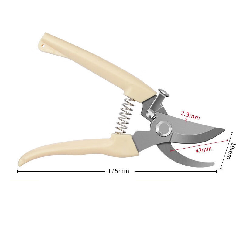 不锈钢树枝修枝剪采摘水果花木剪园林果树花卉枝嫁接园艺剪刀工具 园艺剪刀-弯刃-5把