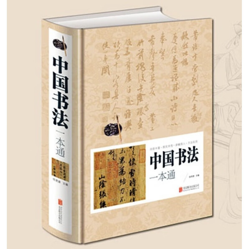 中国书法一本通 中国书法大全传世书法技法初学教程一本通 历代书法名家名品鉴赏导读文化大观分析与训练理