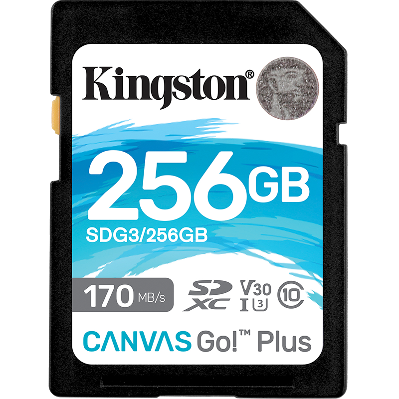 金士顿（Kingston）SD存储大卡 高速佳能相机单反微单内存卡  class10 U3 V30 170M/S SDG3/256G