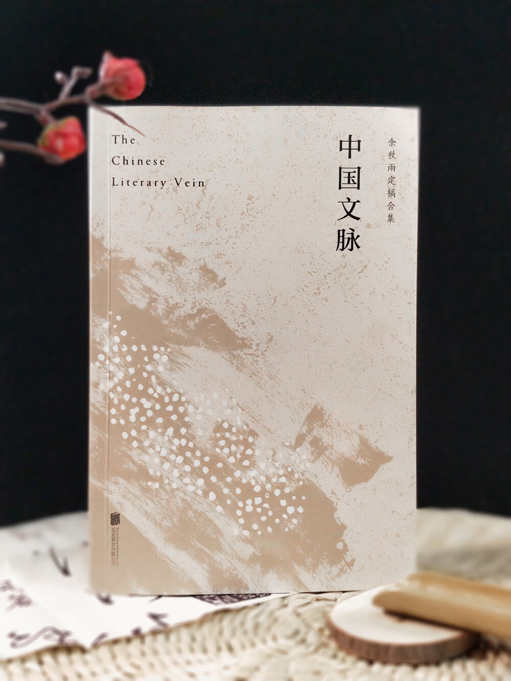 中国文学简史 好看耐读的中国简明文化史书 中国文脉(2020修订版)