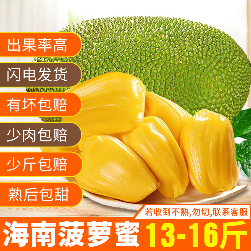 禧友鲜 海南菠萝蜜整个 黄肉干苞 波罗密 大树木菠萝 三亚当季新鲜水果 13-16斤|小果家庭尝鲜装