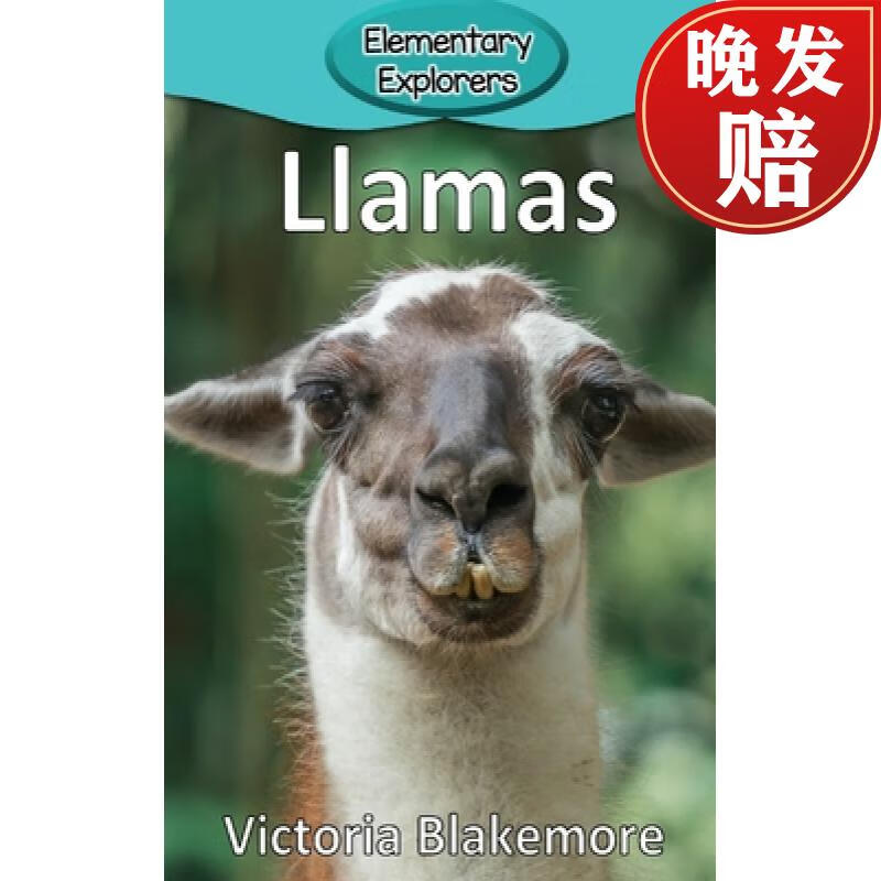 【4周达】llamas