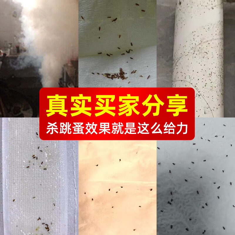 施琪尔(SWKIER)跳蚤药床上家用室内杀虫强力烟雾弹熏杀专用药灭杀非无毒跳骚烟雾 6枚装