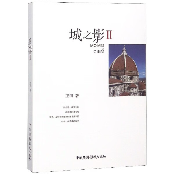 城之影(Ⅱ) 王田