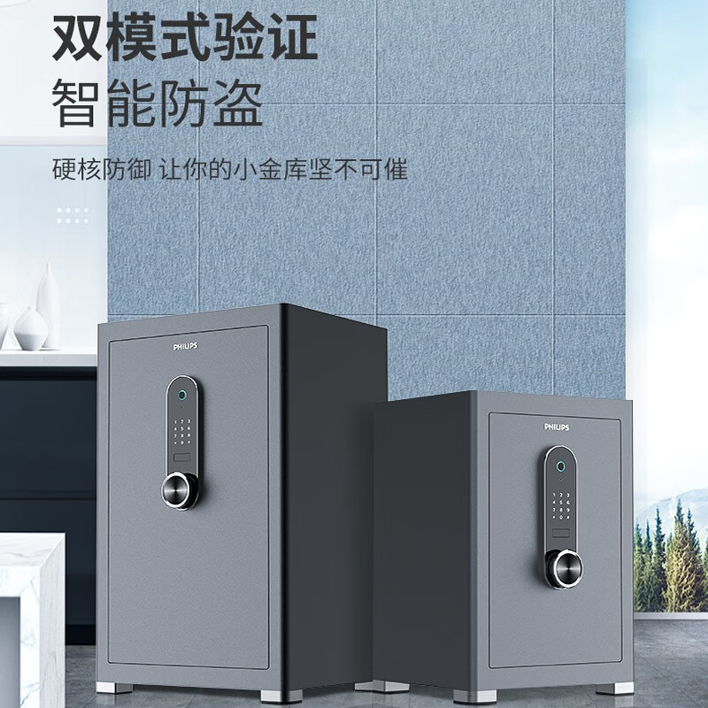 飞利浦保险柜601小型高端家用防搬走防盗入衣柜隐藏式一体成型重型首饰存钱密码指纹办公室财务保险箱 星空灰67.7公斤【高58宽40深36】