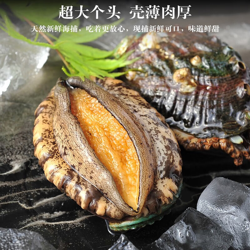 海鲜礼盒海鲜大礼包海产年货礼盒年货节送礼含帝王蟹10种海鲜礼盒 8种海鲜6斤家庭装 含活冻鲍鱼