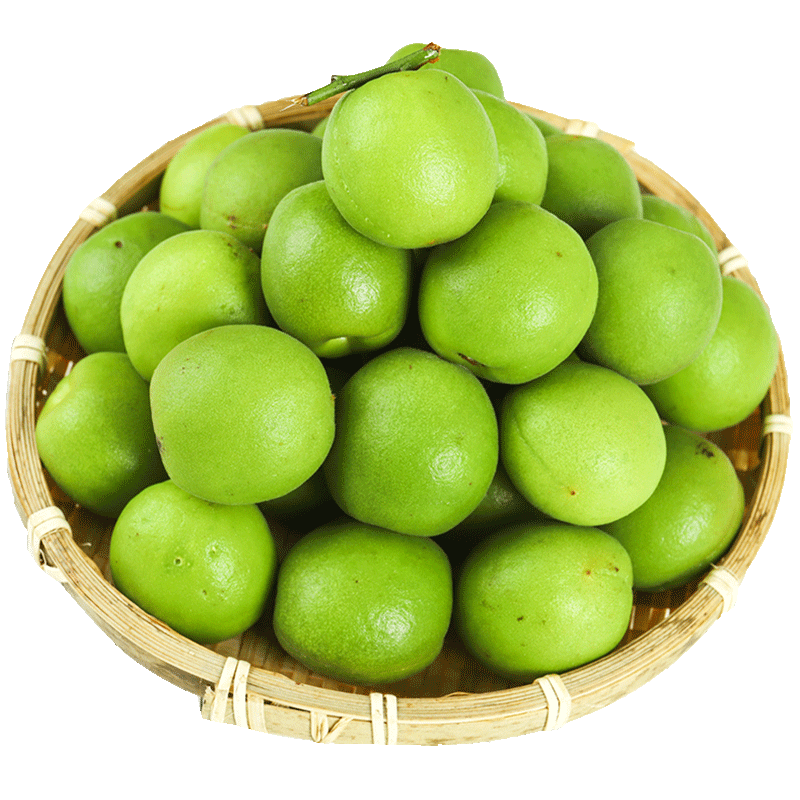 中鲜生福建诏安青梅泡酒高山梅子现摘青梅鲜果白梅 酵素青梅 新鲜水果