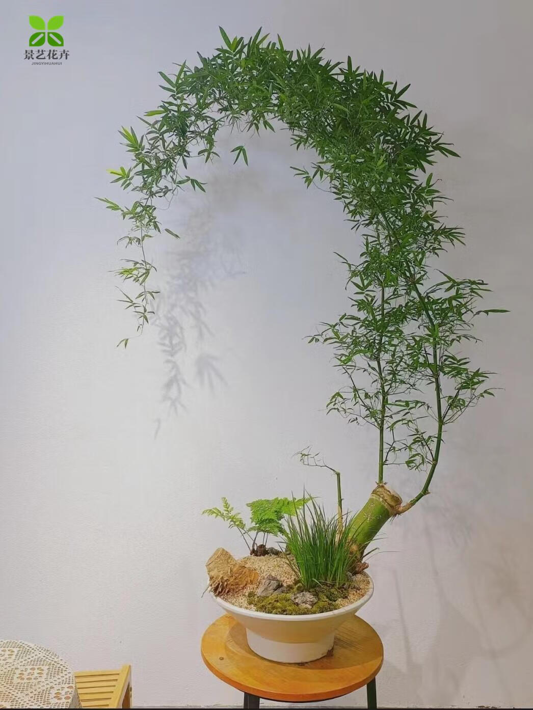 小叶簕竹蕨老桩正宗小叶刺竹勒竹佛肚竹观音竹连体竹成品竹子盆景 小叶簕竹专用土【9.8斤】 裸根不带叶子不含盆