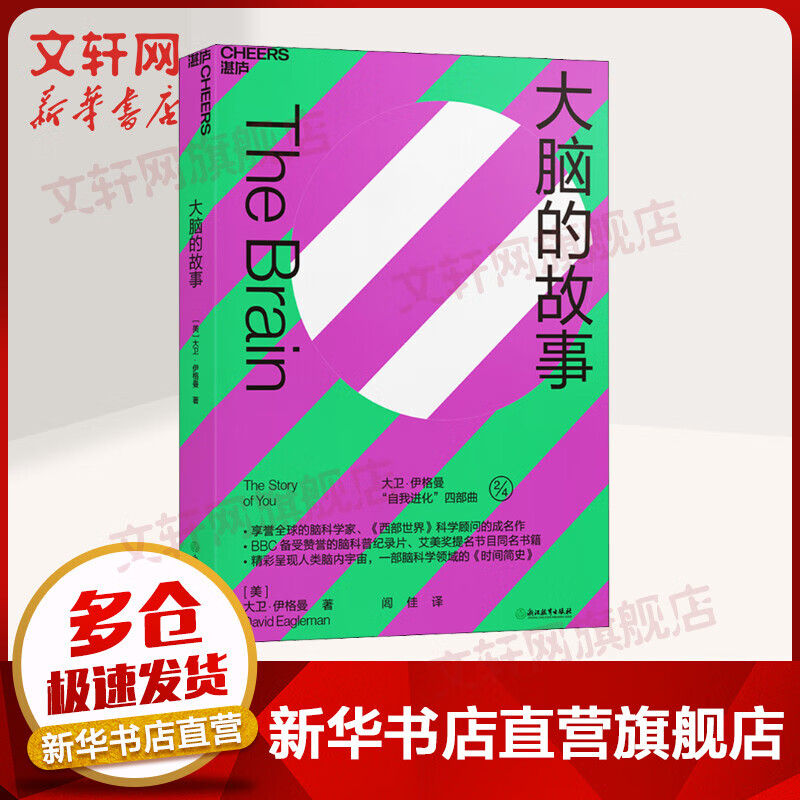 大脑的故事