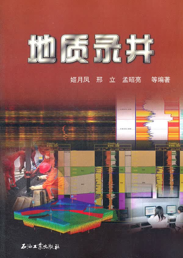地质录井 姬月凤【正版图书，放心购买】