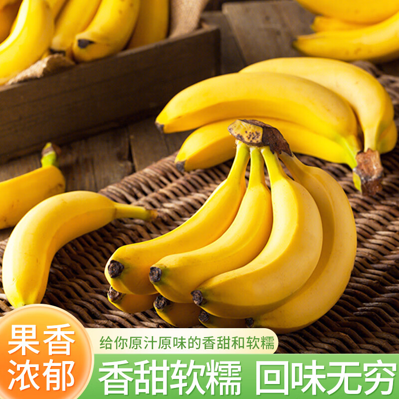 开昂农场鼎雯佳果 香蕉 佳农蕉香甜可口柔滑绵密皮薄肉厚健康美味 5斤