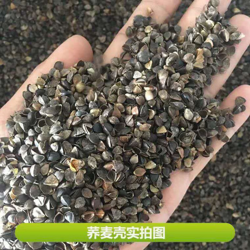 相思桐荞麦壳荞麦皮棱子皮高温免洗杀菌荞麦枕芯填充物荞麦壳 荞麦壳