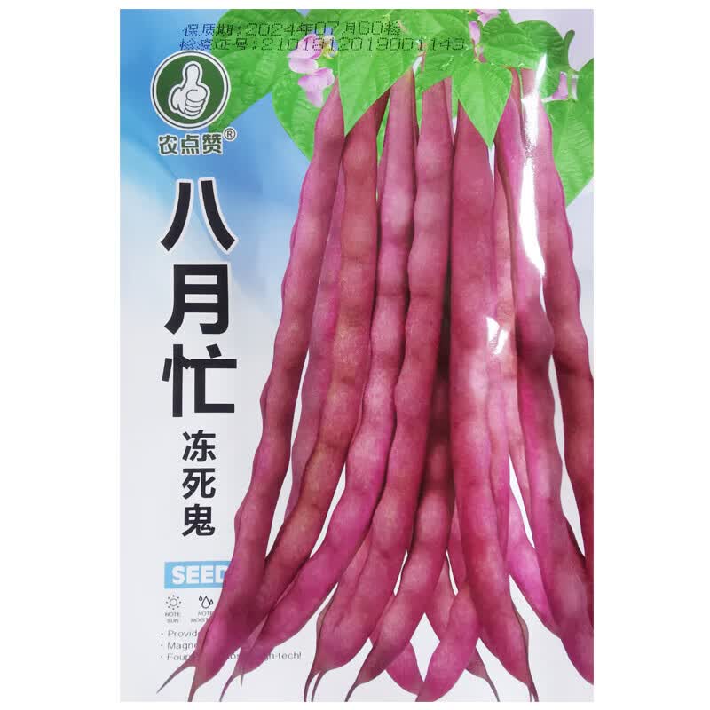 醉春木八月忙冻死鬼种子豆角四季豆芸豆菜豆种籽春秋耐寒耐热高产 农