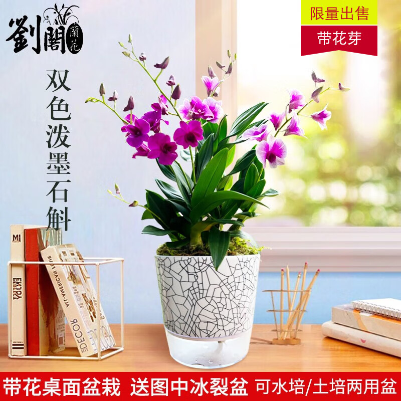 哪里可以看到京东花卉商品的历史价格|花卉价格历史