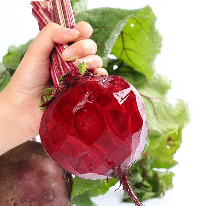 泽鲜达甜菜根 现挖甜菜头红菜头红甜菜 新鲜蔬菜健康轻食 精选3斤装