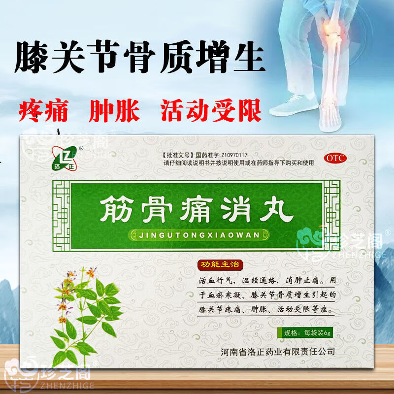 洛正 筋骨痛消丸6g*12袋活血行气温经通络消肿止痛用于血瘀寒凝膝关节