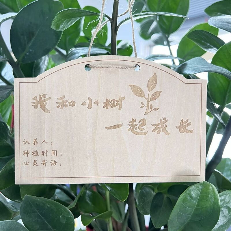 幼儿园学校植树节定制名字卡植物标签牌木质挂牌吊牌树木认养牌 我和