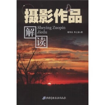 摄影作品解读 杨伟光,朱士安 著【正版】