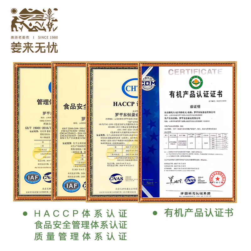 姜来无忧干姜片食用有机云南罗平小黄姜干片原始点生姜片泡水无硫 500g一袋