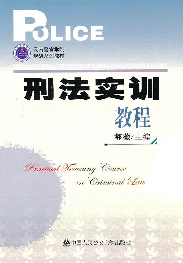 刑法实训教程 法律 书籍