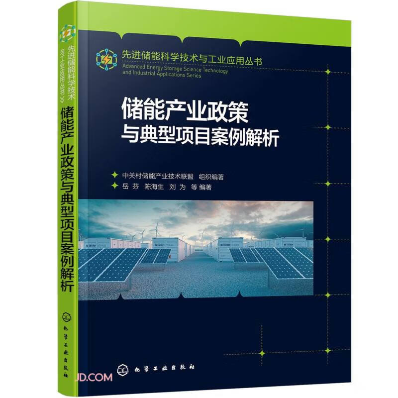 储能产业政策与典型项目案例解析/先进储能科学技术与工业应用丛书