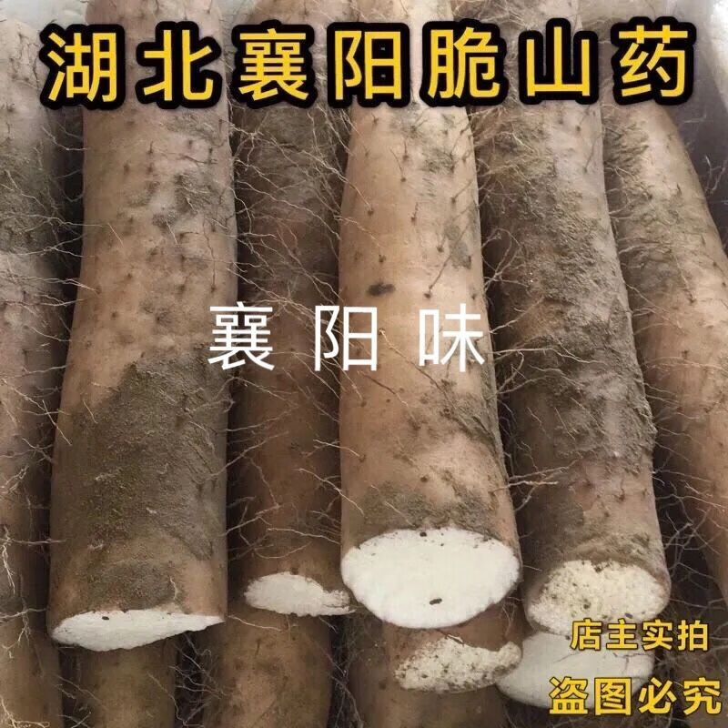 【精选生鲜】【脆山药】湖北襄阳脆山药新鲜菜山药淮山药粗山药大山药